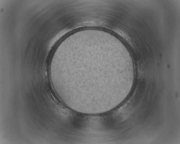 X0000068831070200605051230