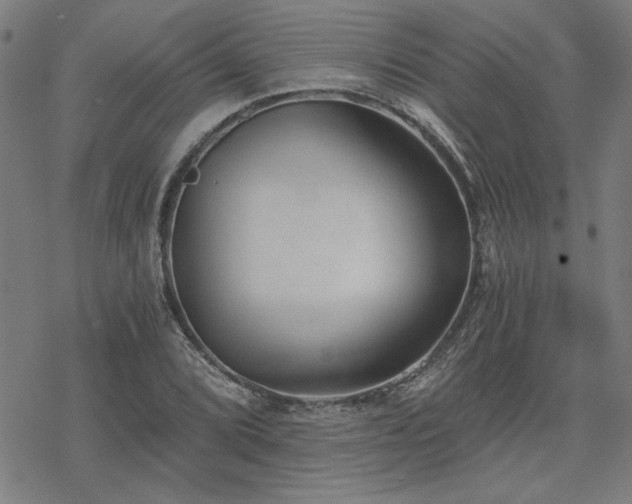 X0000068831072200605051230