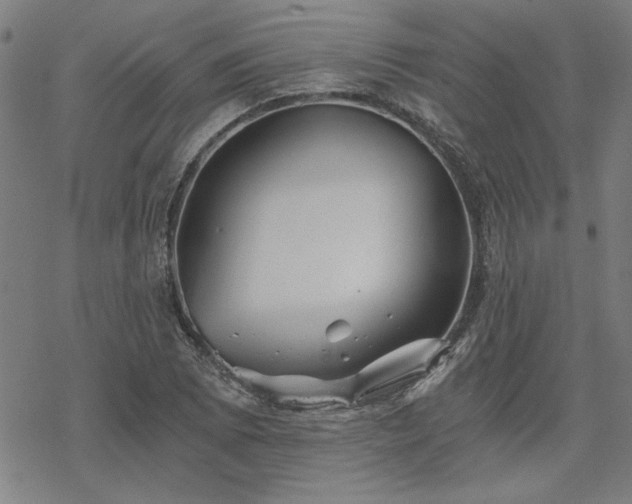 X0000068831073200605051230