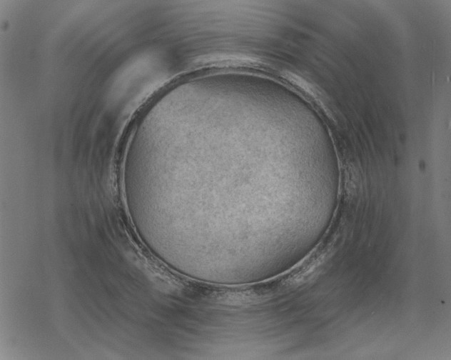 X0000068831074200605051230