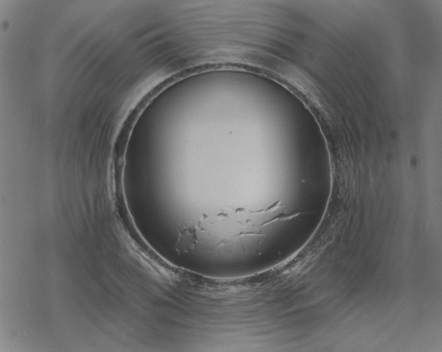 X0000068831076200605051230