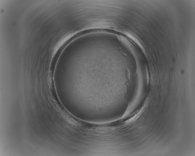 X0000068831077200605051230