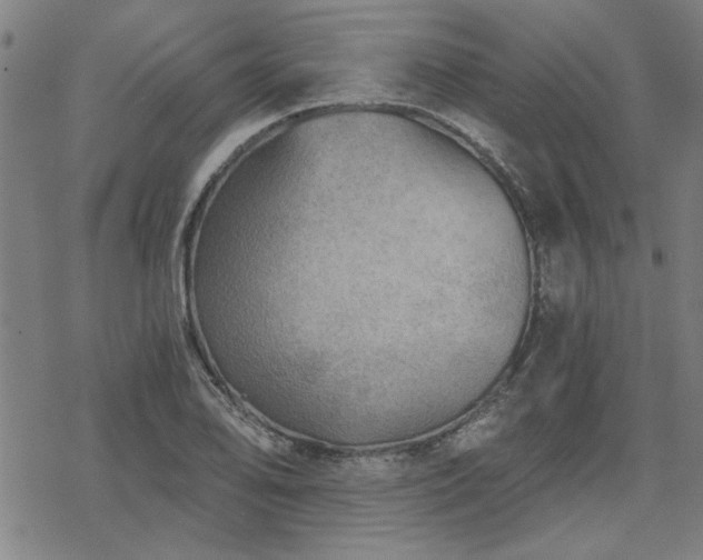 X0000068831078200605051230