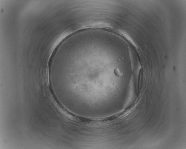 X0000068831079200605051230