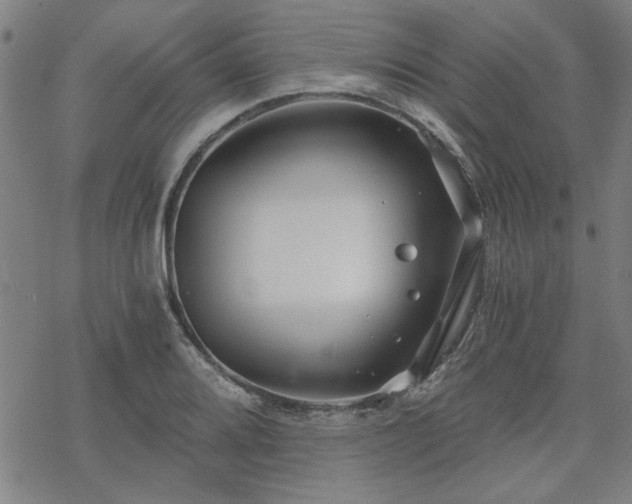 X0000068831080200605051230