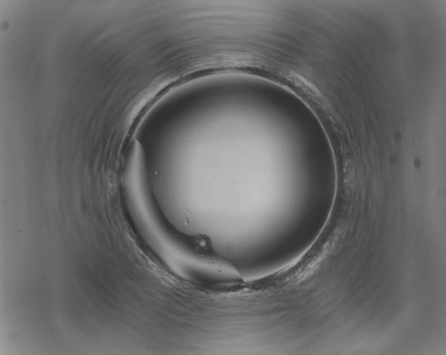 X0000068831081200605051230