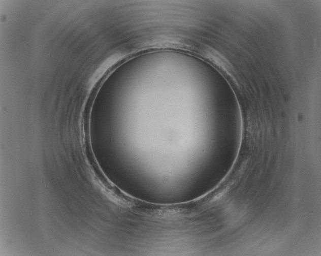 X0000068831082200605051230