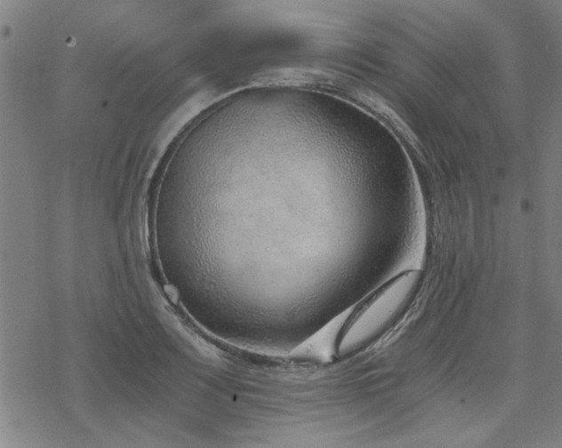 X0000068831083200605051230