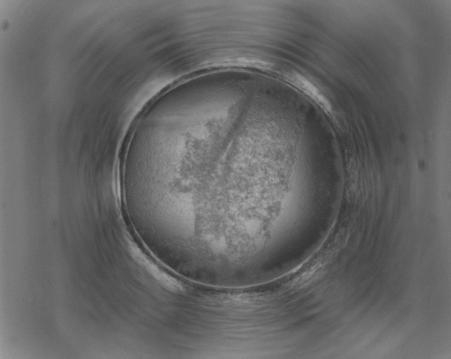 X0000068831084200605051230