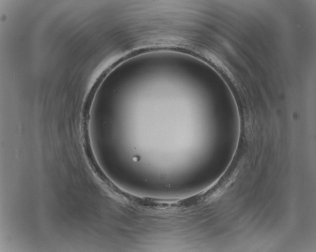 X0000068831085200605051230