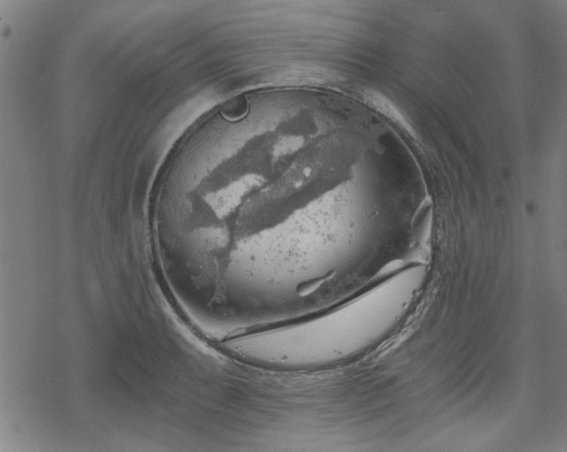 X0000068831087200605051230