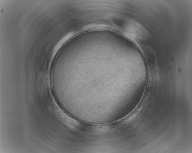 X0000068831090200605051230