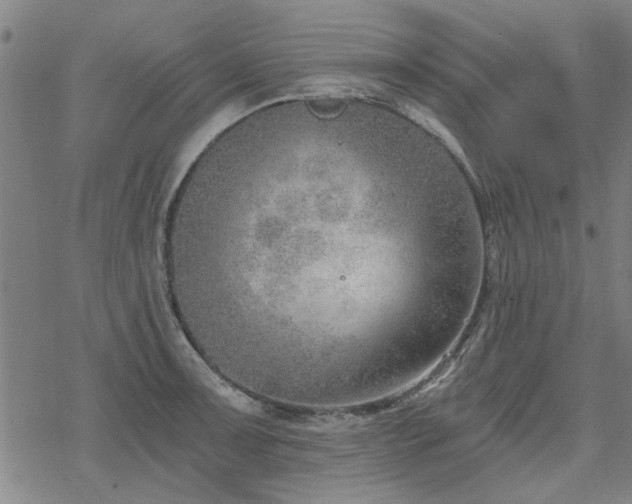 X0000068831091200605051230