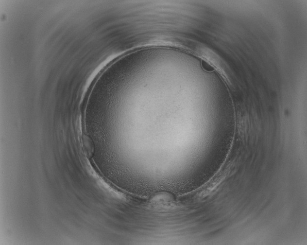 X0000068831092200605051230