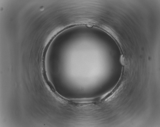 X0000068831093200605051230