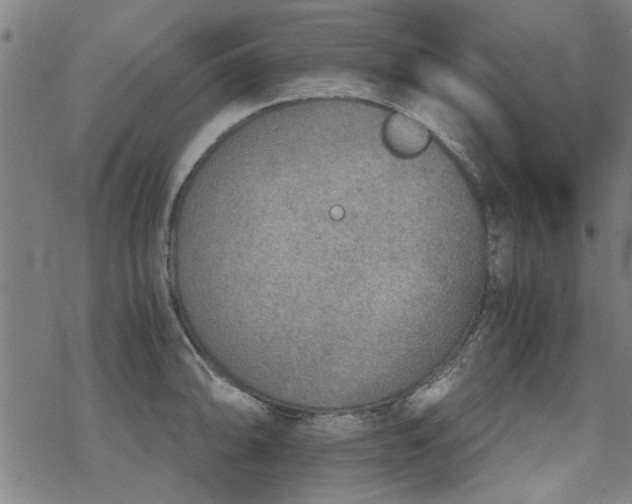 X0000068831094200605051230