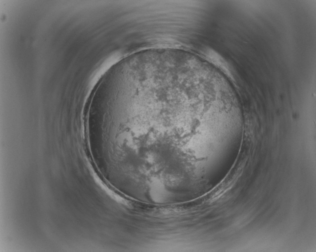 X0000068831095200605051230