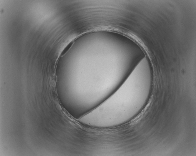 X0000068831097200605051230