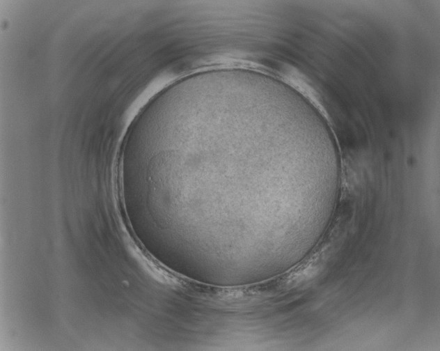 X0000068831098200605051230