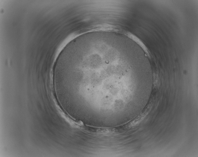 X0000068831099200605051230