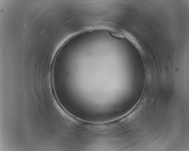 X0000068831100200605051230