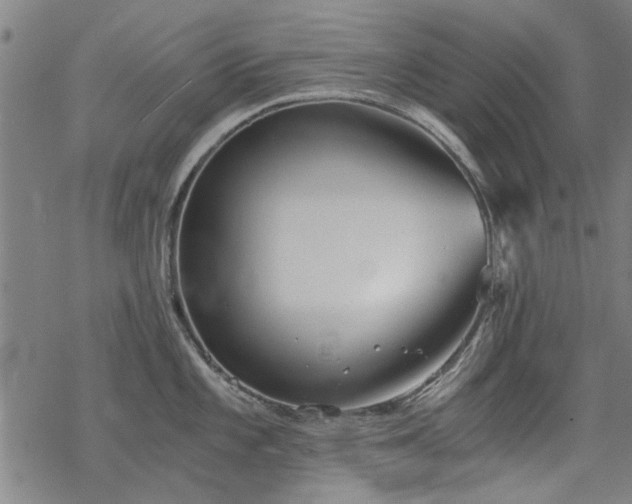 X0000068831101200605051230