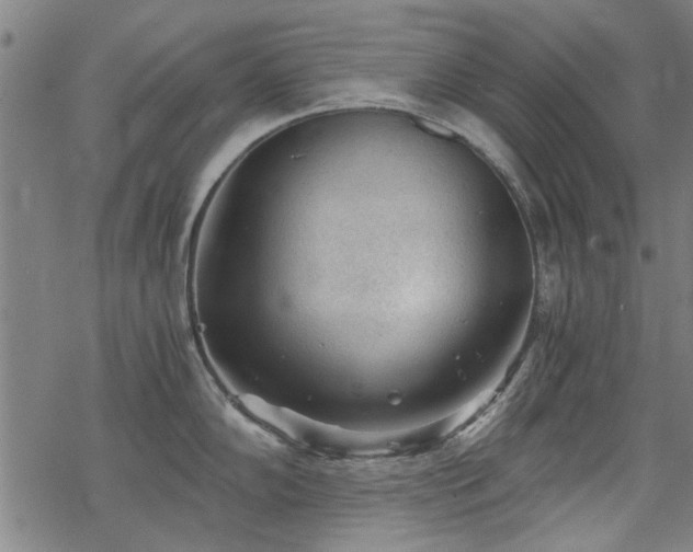 X0000068831102200605051230