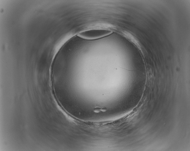 X0000068831103200605051230