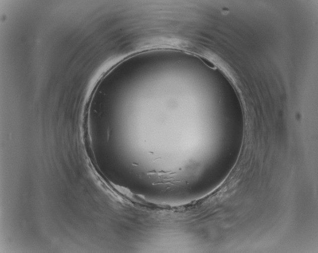 X0000068831104200605051230