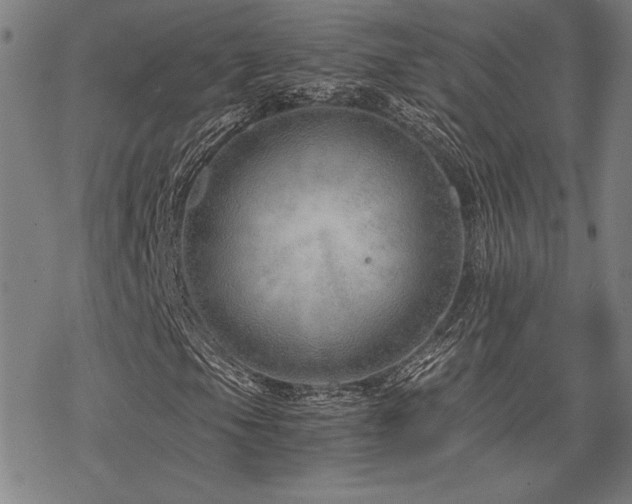 X0000068831105200605051229