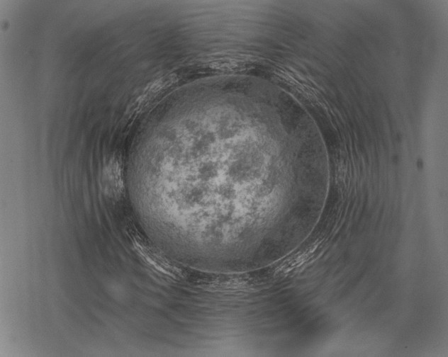 X0000068831106200605051229