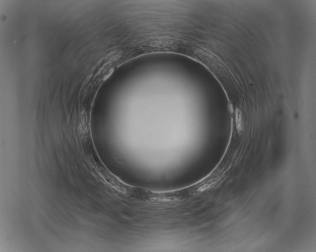 X0000068831107200605051229