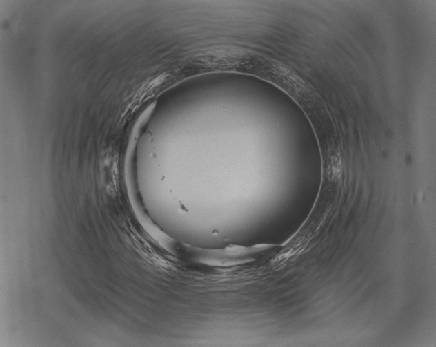 X0000068831108200605051229