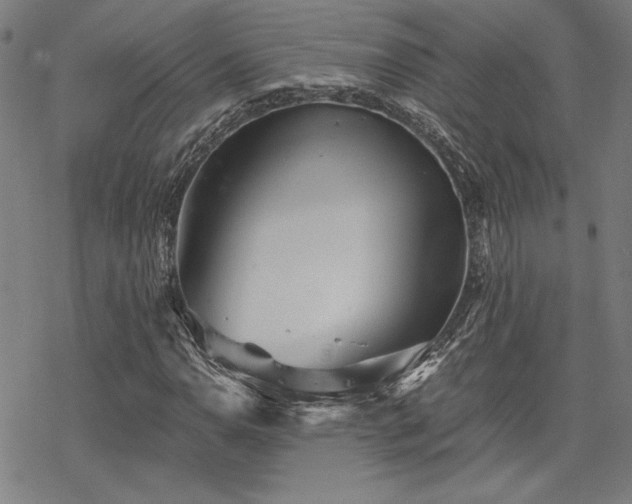 X0000068831110200605051229