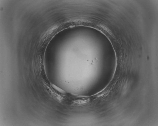 X0000068831111200605051229