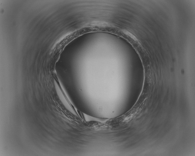 X0000068831112200605051229