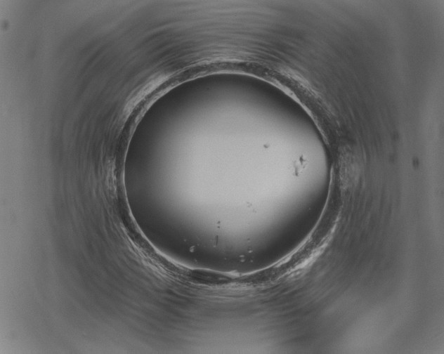 X0000068831113200605051229