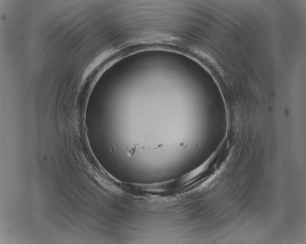 X0000068831114200605051229