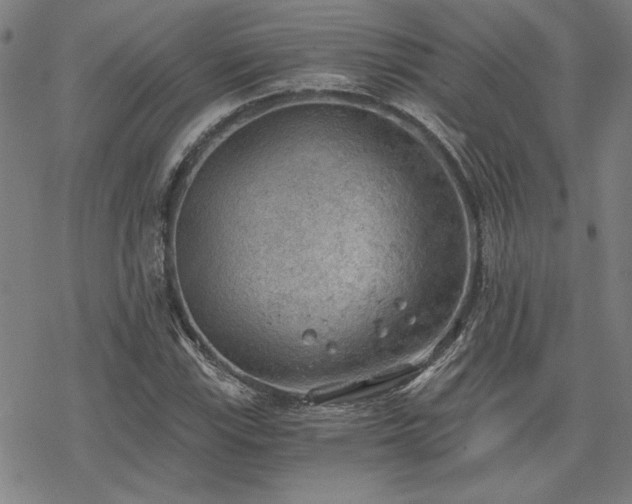 X0000068831115200605051229