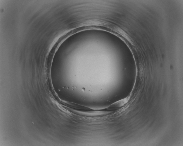 X0000068831116200605051229