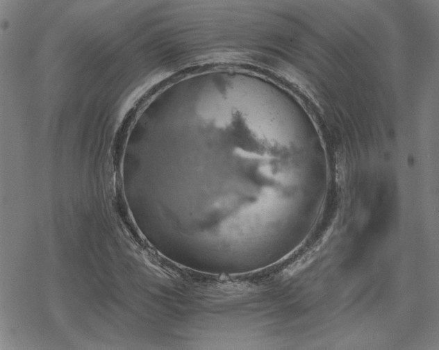 X0000068831117200605051229