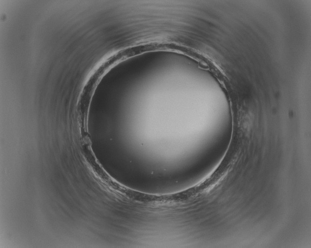 X0000068831118200605051229