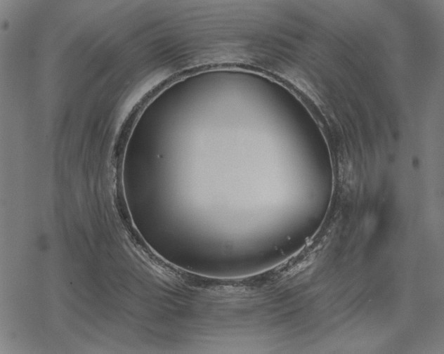 X0000068831119200605051229