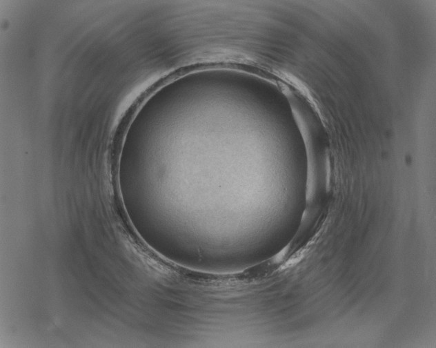 X0000068831120200605051229