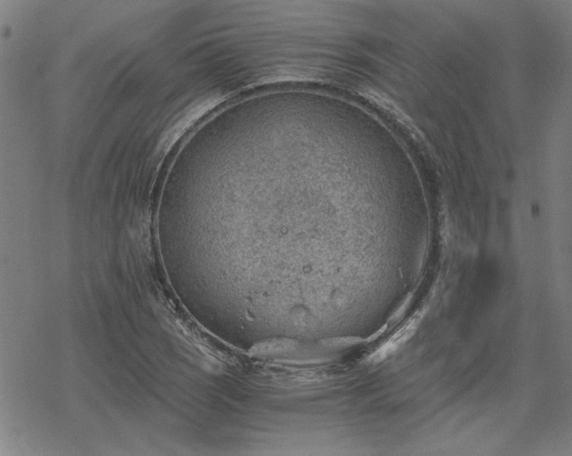 X0000068831121200605051229