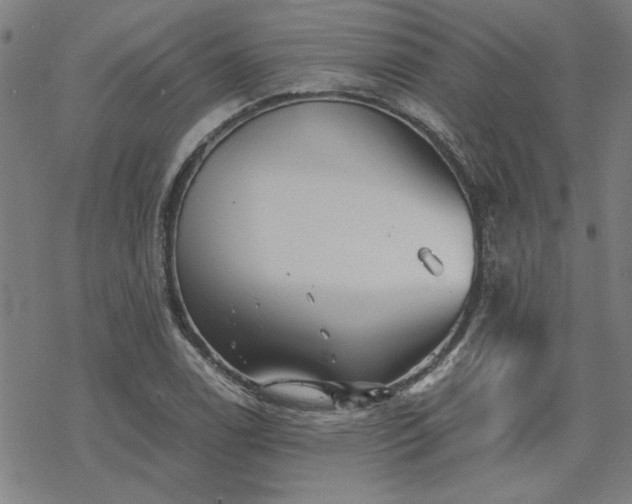 X0000068831122200605051229