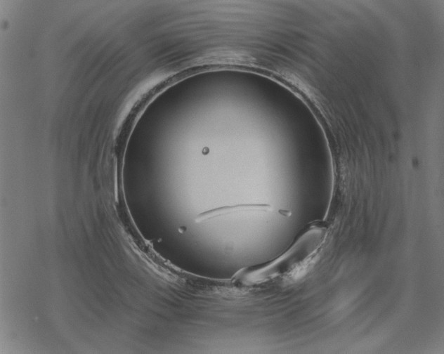 X0000068831123200605051229