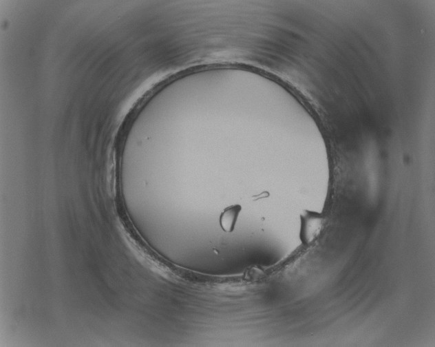 X0000068831126200605051229