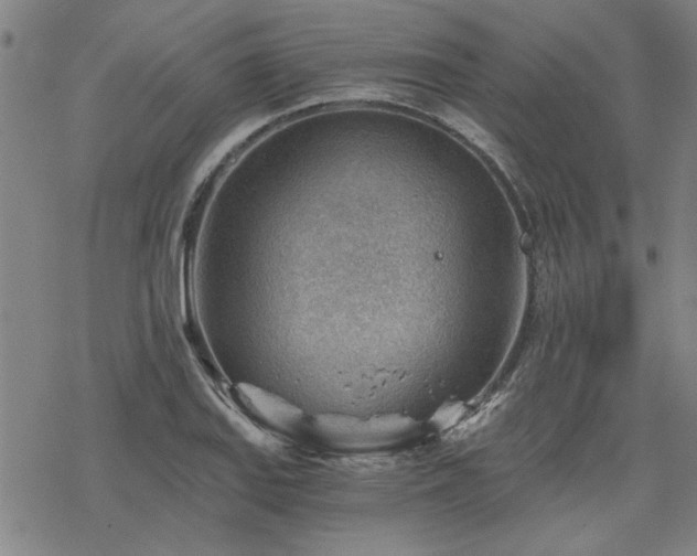 X0000068831127200605051229