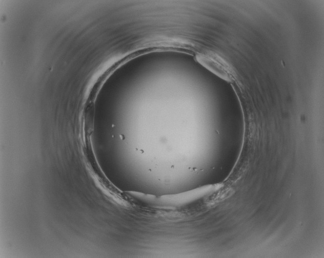 X0000068831128200605051229